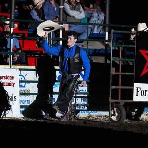 Meet your Posher, Wyatt